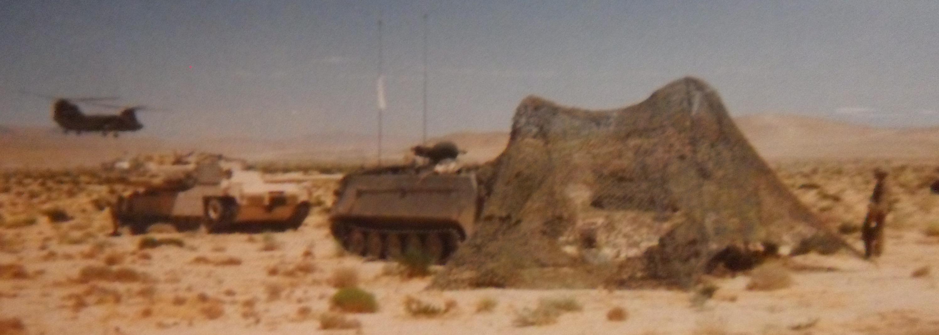 NTC Fort Irwin California Blind Bat News