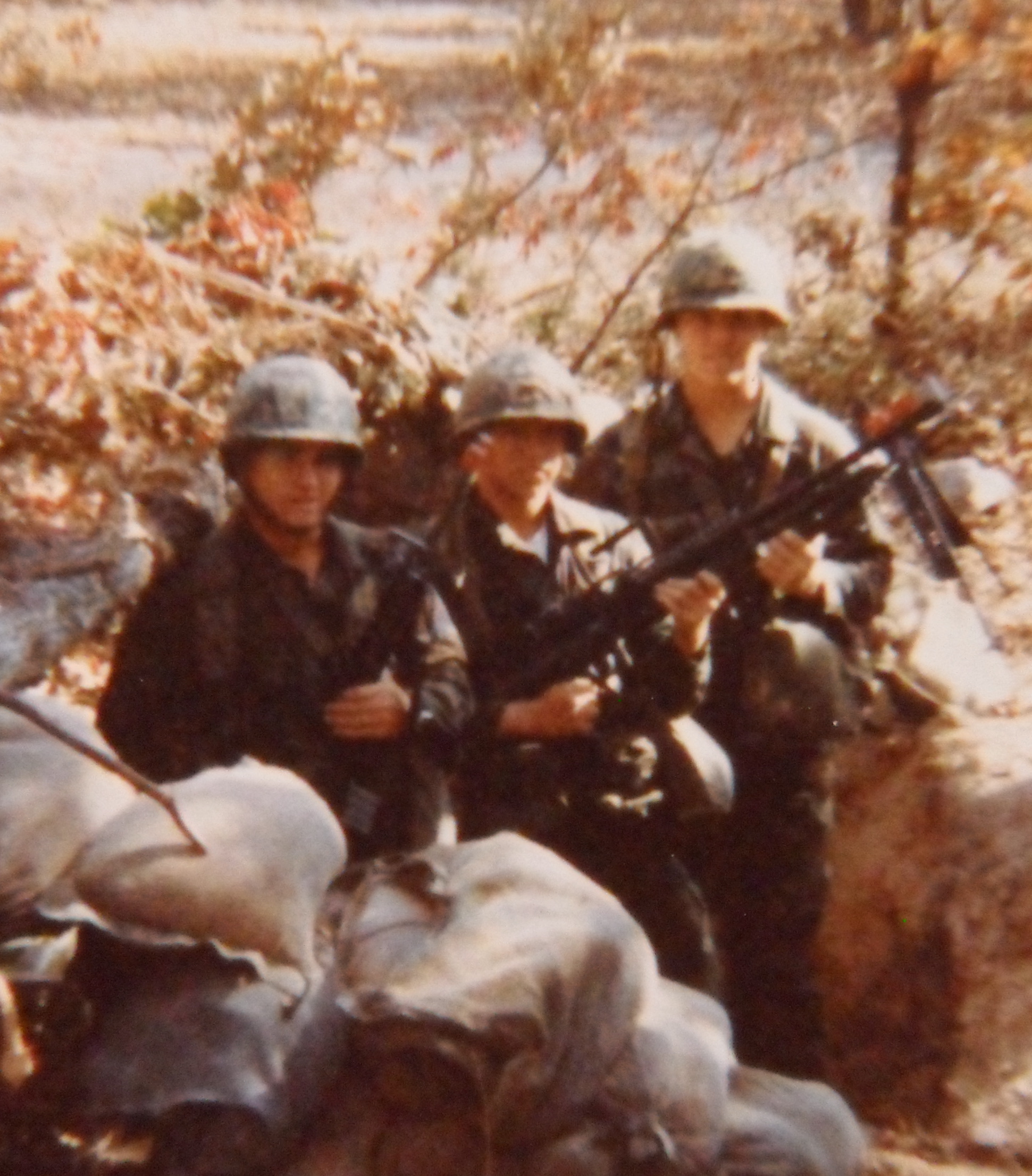 Fort Leonard Wood Missouri Blind Bat News