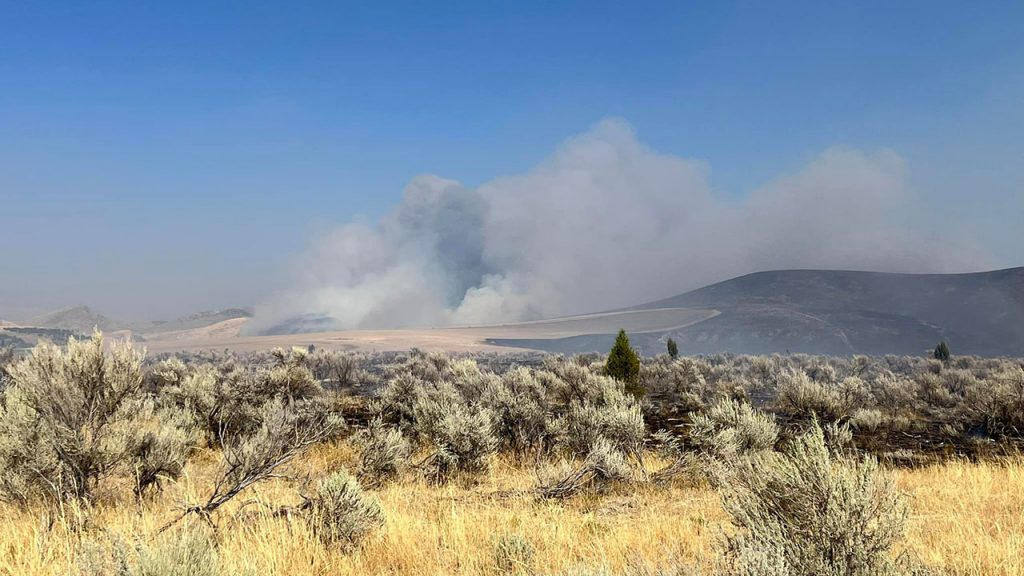 U.S. Wildfire 2022 2 & 1/2 Mile Fire, history repeats? Blind Bat News